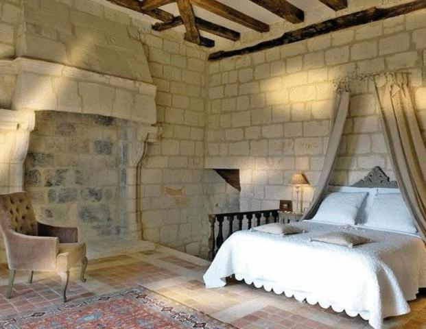 Chateau De Charge Hotel Tours Buitenkant foto